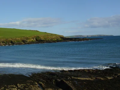 How to Write a Comprehensive Business Plan for Startups in 2026